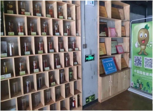 數(shù)字經(jīng)濟(jì)展示 獼猴桃網(wǎng)平臺(tái)建設(shè)項(xiàng)目