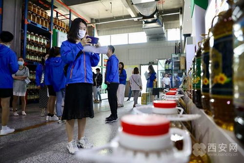 行走自貿(mào)區(qū) 集班列實(shí)施跟蹤 商品市場分析 走進(jìn) 西安港 中歐班列營運(yùn)中心