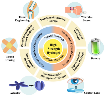 西工大黃河源、王文智/西安交大趙鑫 Nano Res.:高強度水凝膠的制備策略、增強機制與未來挑戰