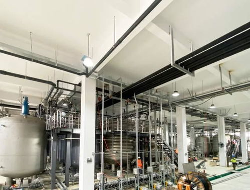 科學家發(fā)現(xiàn)衰老逆轉關鍵分子，富人圈爭相追捧，市場規(guī)模或達300億